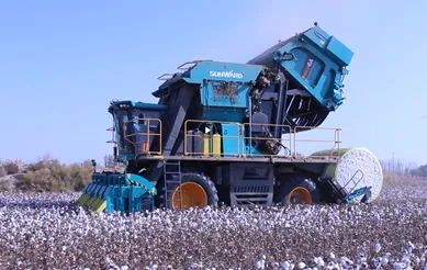 科技赋能农业强国建设！ca888亚洲城智能这个人工智能项目入选《湖南省“数字新基建”100个标志性项目名单》